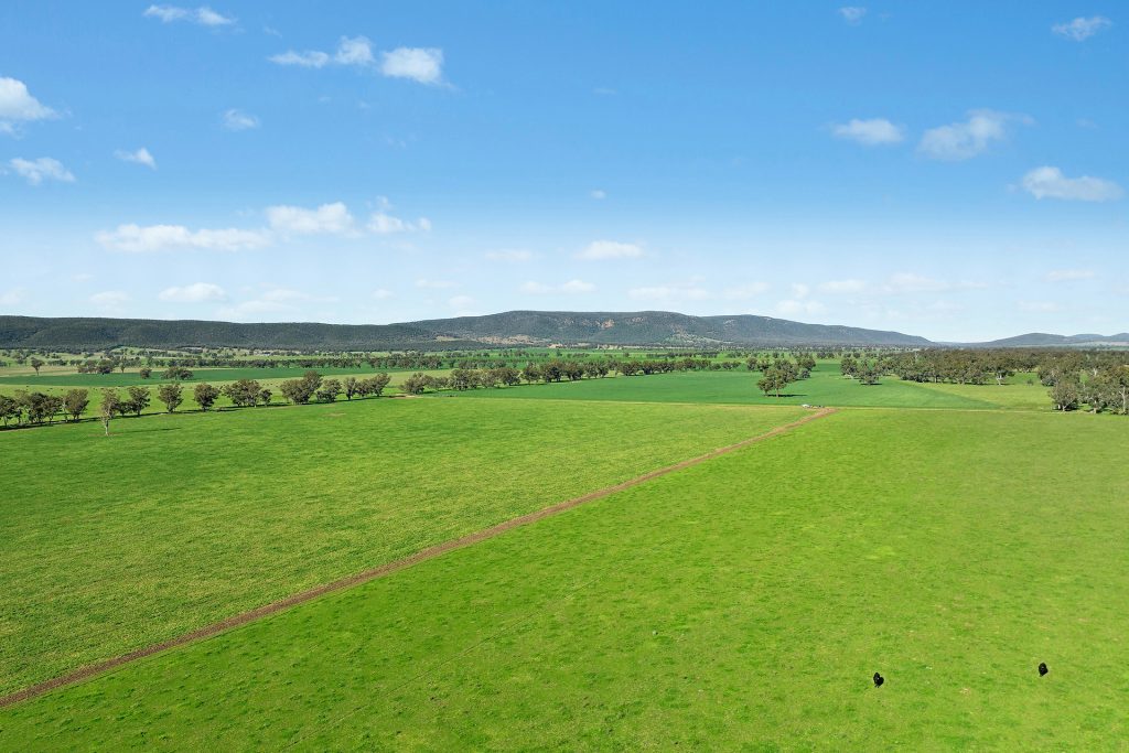 For Sale - 3130 Adelargo Road - New Property in Grenfell - Real Estate by Scott Petersen