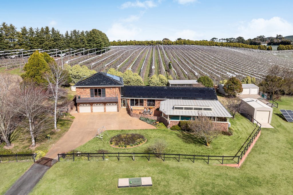 For Sale - 19 Wallace Lane - New Property in Orange - Real Estate by Josh Fitzgerald