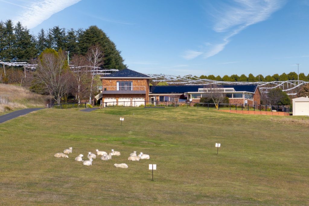 For Sale - 19 Wallace Lane - New Property in Orange - Real Estate by Josh Fitzgerald
