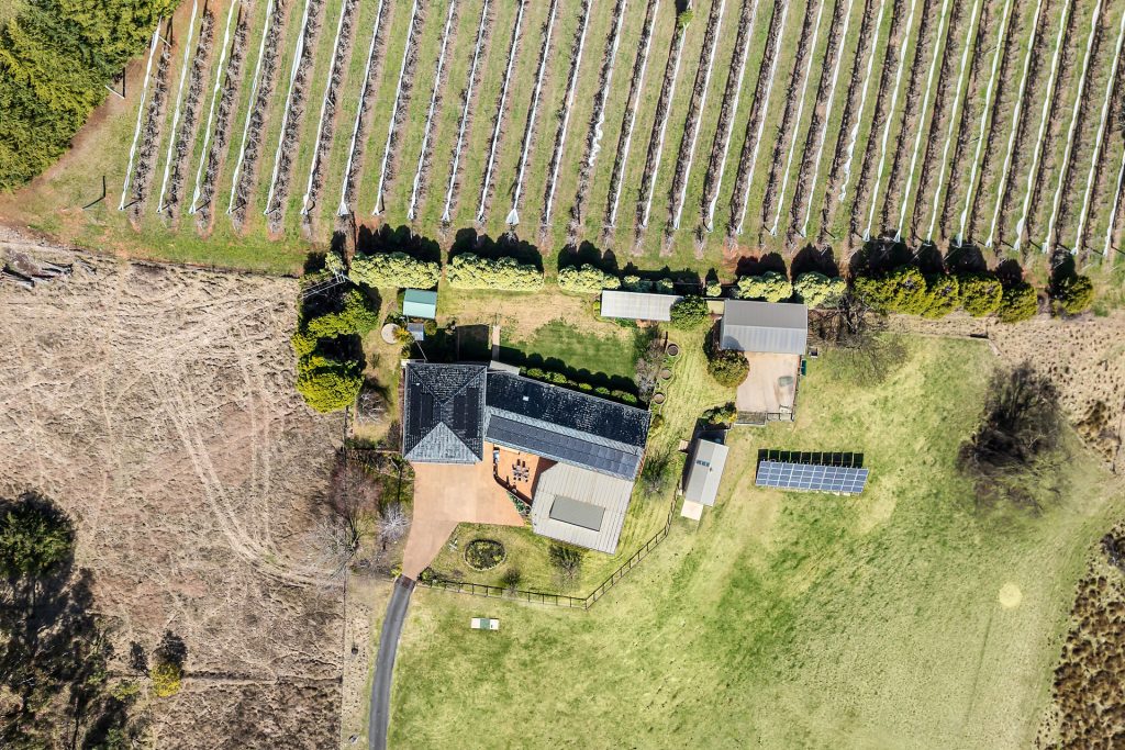 For Sale - 19 Wallace Lane - New Property in Orange - Real Estate by Josh Fitzgerald