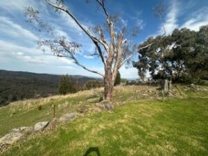 For Rent - 38 Billywillinga Road - New Property in Billywillinga - Real Estate by 