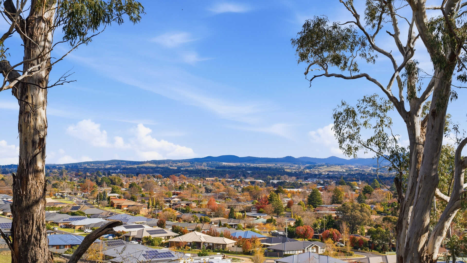For Sale - 8 Dairy Hill Place - New Property in Orange - Real Estate by Josh Fitzgerald