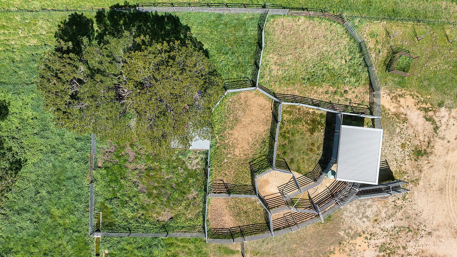 Auction - 593 Belgravia Road - New Property in Belgravia - Real Estate by Scott Petersen