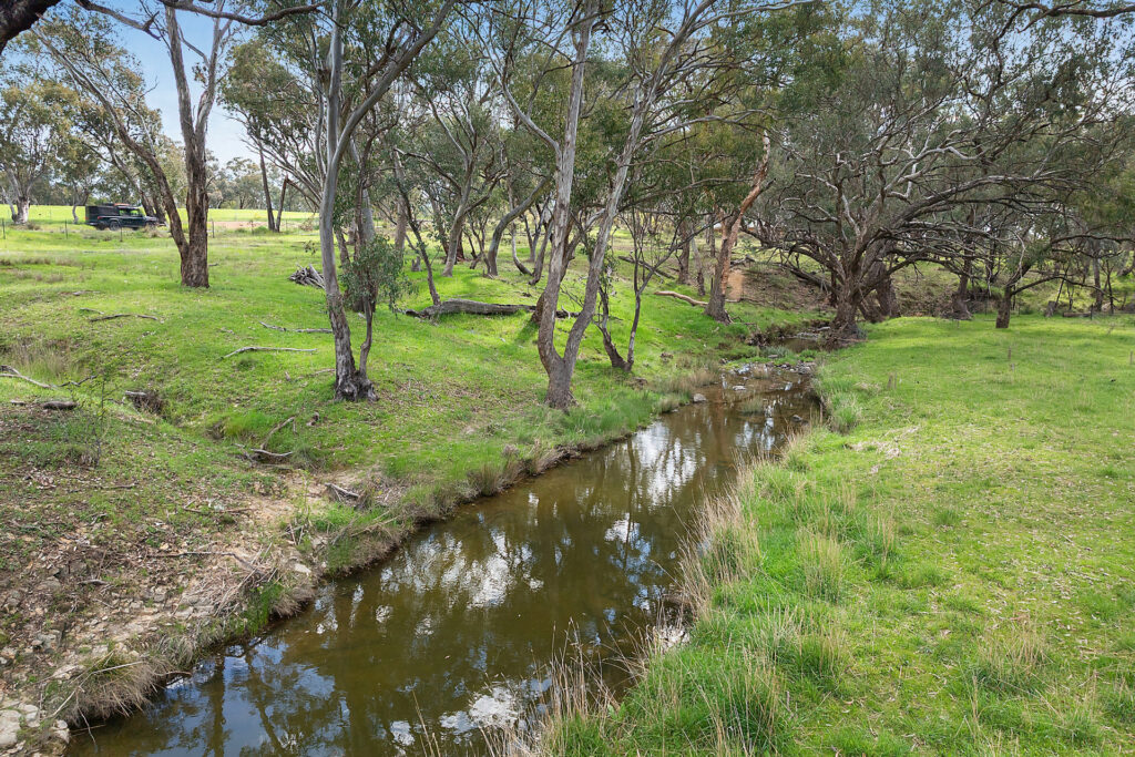 Auction - 593 Belgravia Road - New Property in Belgravia - Real Estate by Scott Petersen