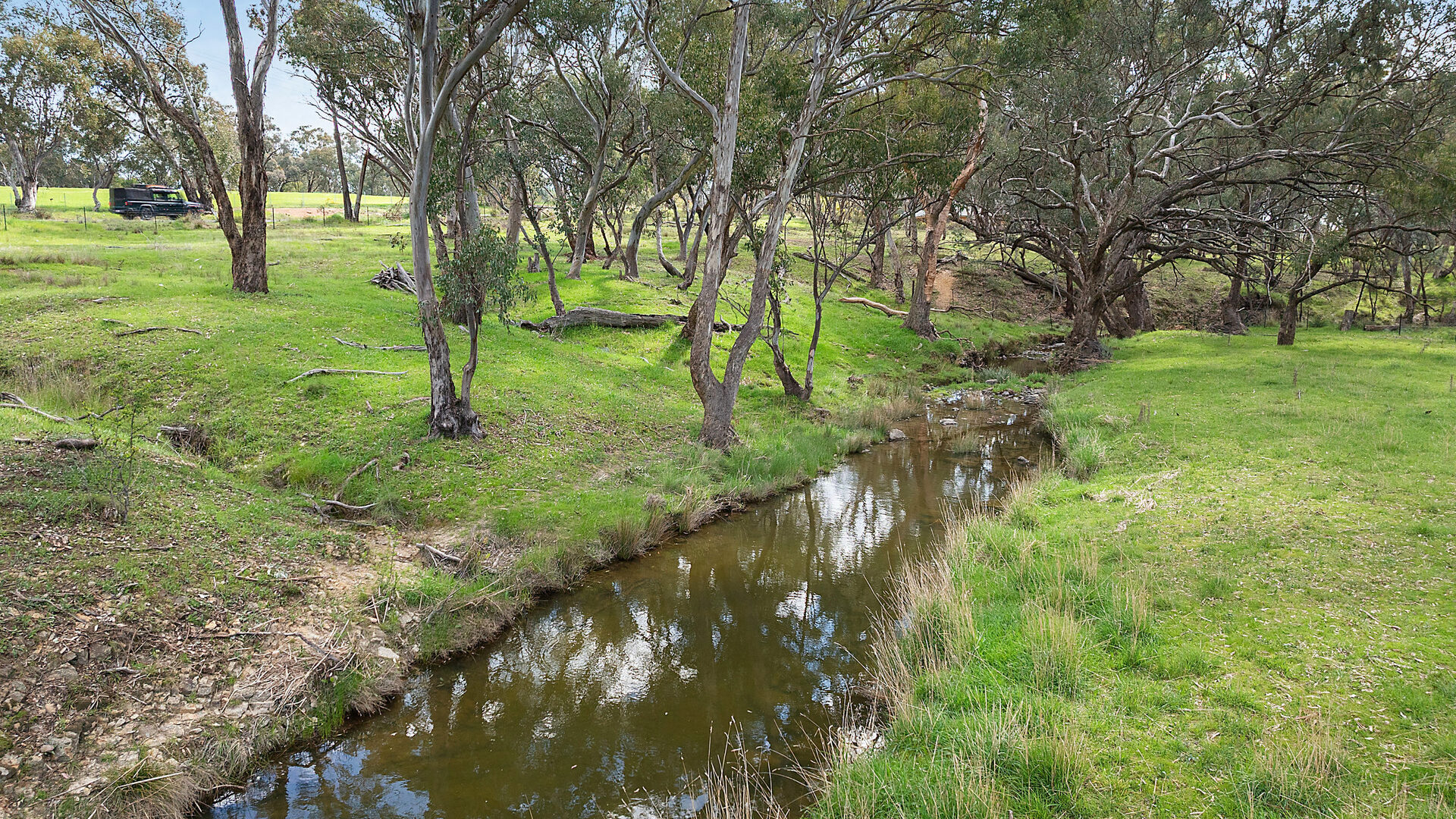 Auction - 593 Belgravia Road - New Property in Belgravia - Real Estate by Scott Petersen