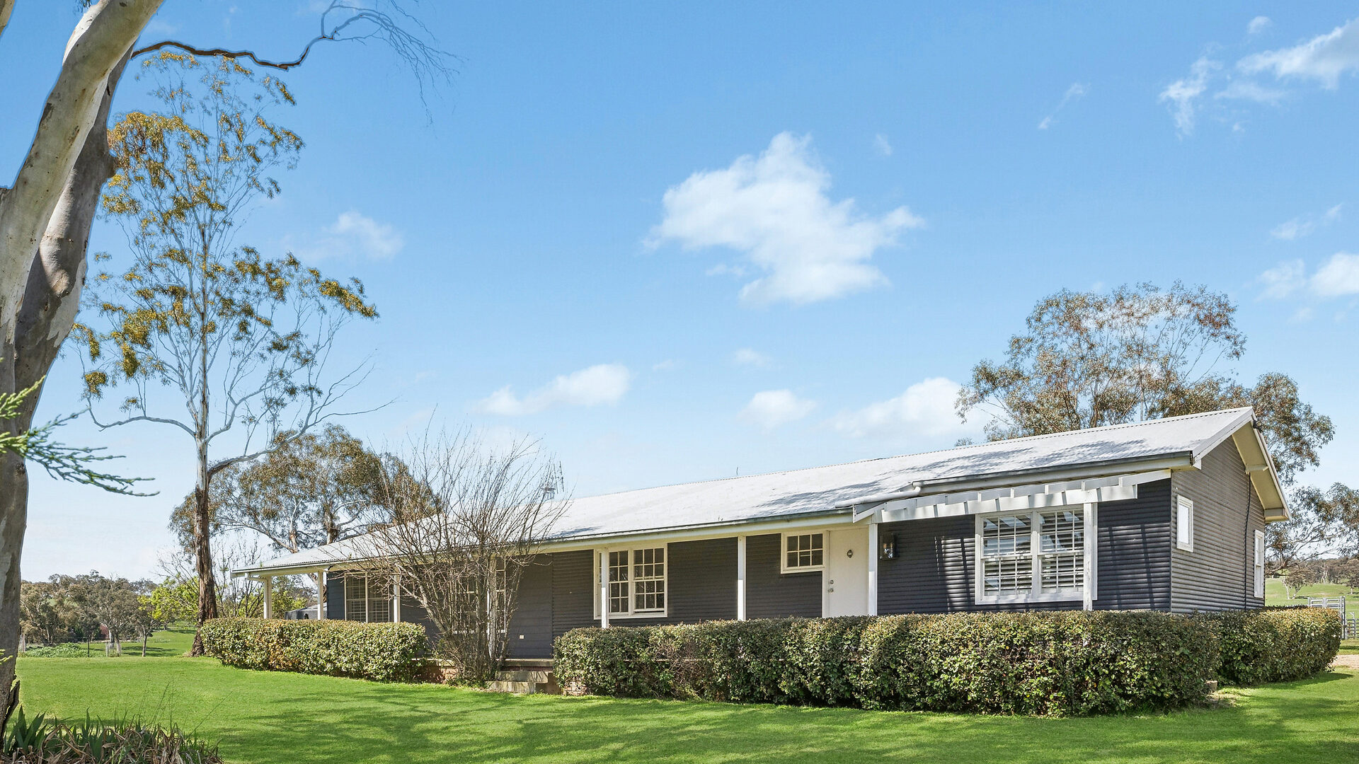 Auction - 593 Belgravia Road - New Property in Belgravia - Real Estate by Scott Petersen