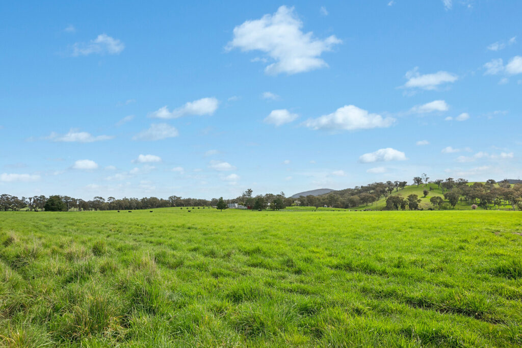 Auction - 593 Belgravia Road - New Property in Belgravia - Real Estate by Scott Petersen