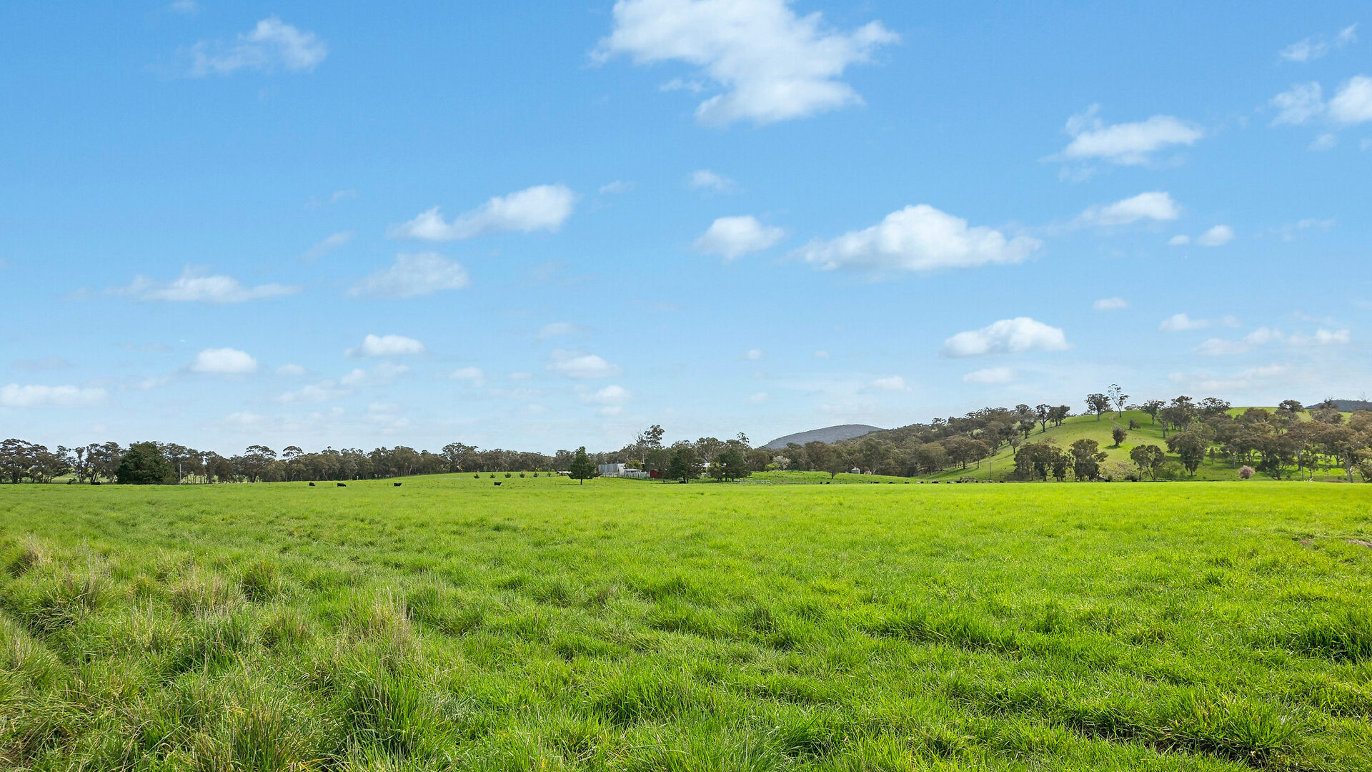 Auction - 593 Belgravia Road - New Property in Belgravia - Real Estate by Scott Petersen