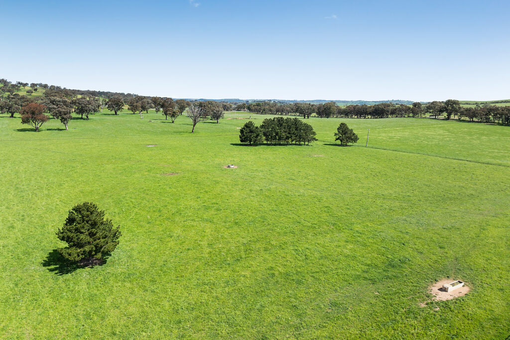 Auction - 593 Belgravia Road - New Property in Belgravia - Real Estate by Scott Petersen