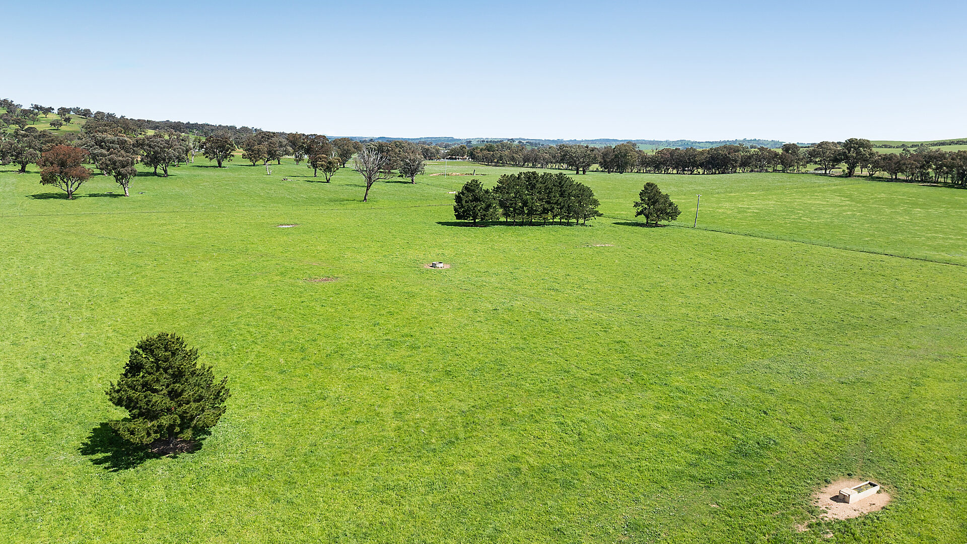 Auction - 593 Belgravia Road - New Property in Belgravia - Real Estate by Scott Petersen
