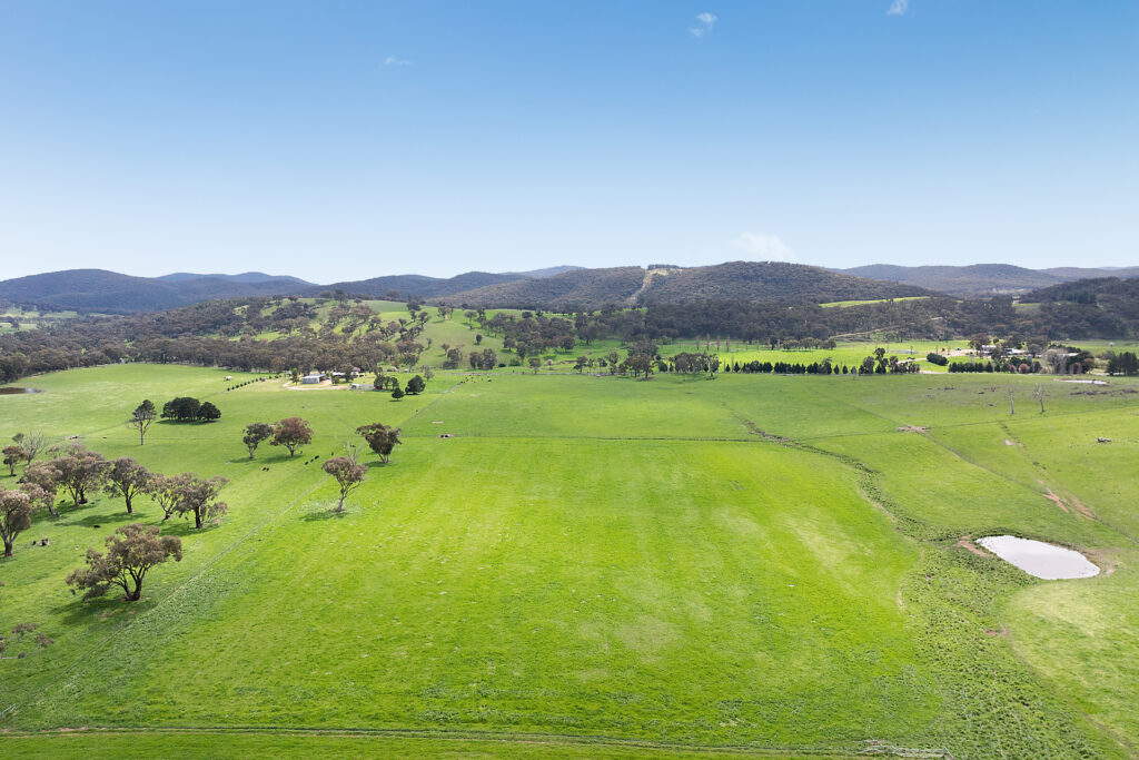 Auction - 593 Belgravia Road - New Property in Belgravia - Real Estate by Scott Petersen