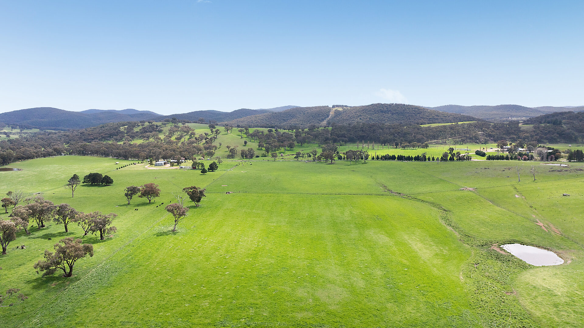 Auction - 593 Belgravia Road - New Property in Belgravia - Real Estate by Scott Petersen