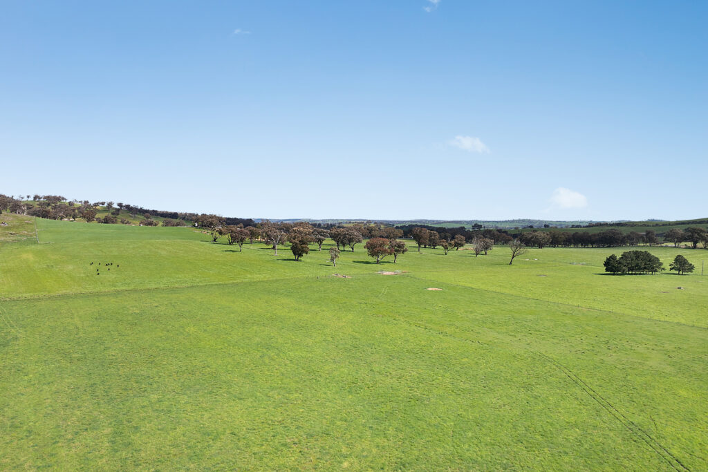 Auction - 593 Belgravia Road - New Property in Belgravia - Real Estate by Scott Petersen