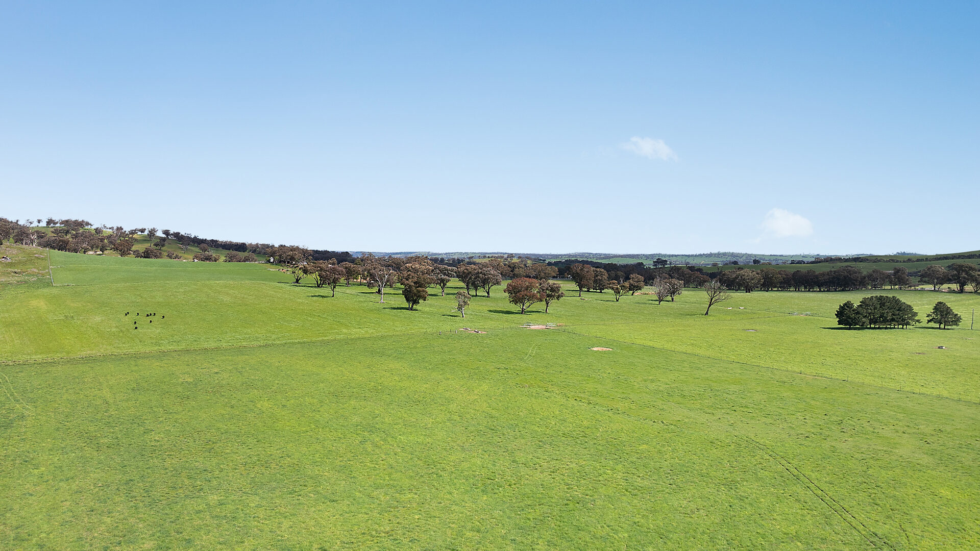 Auction - 593 Belgravia Road - New Property in Belgravia - Real Estate by Scott Petersen