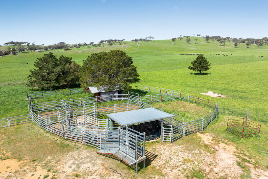 Auction - 593 Belgravia Road - New Property in Belgravia - Real Estate by Scott Petersen