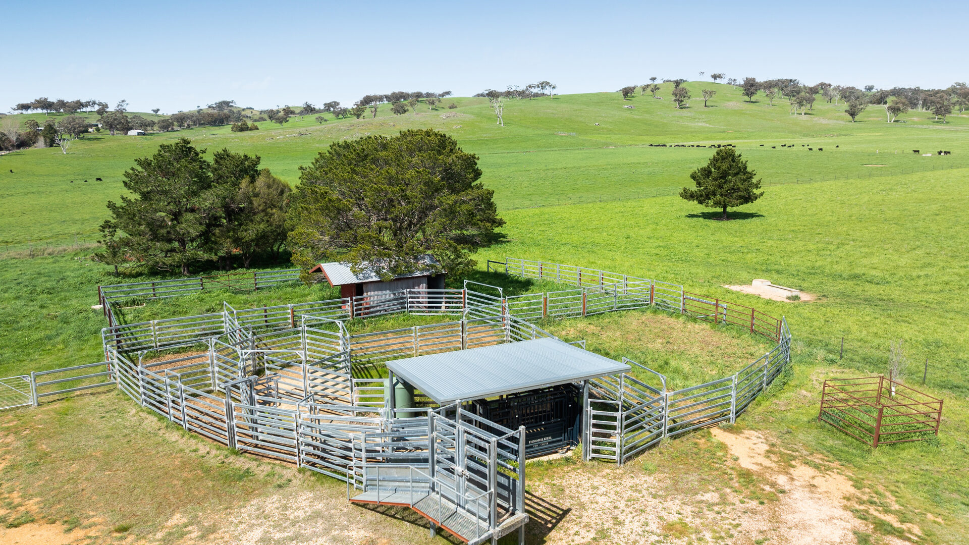 Auction - 593 Belgravia Road - New Property in Belgravia - Real Estate by Scott Petersen