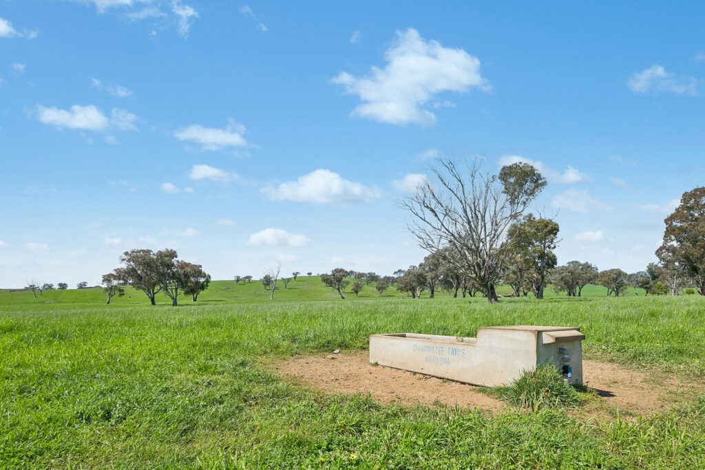 Auction - 593 Belgravia Road - New Property in Belgravia - Real Estate by Scott Petersen