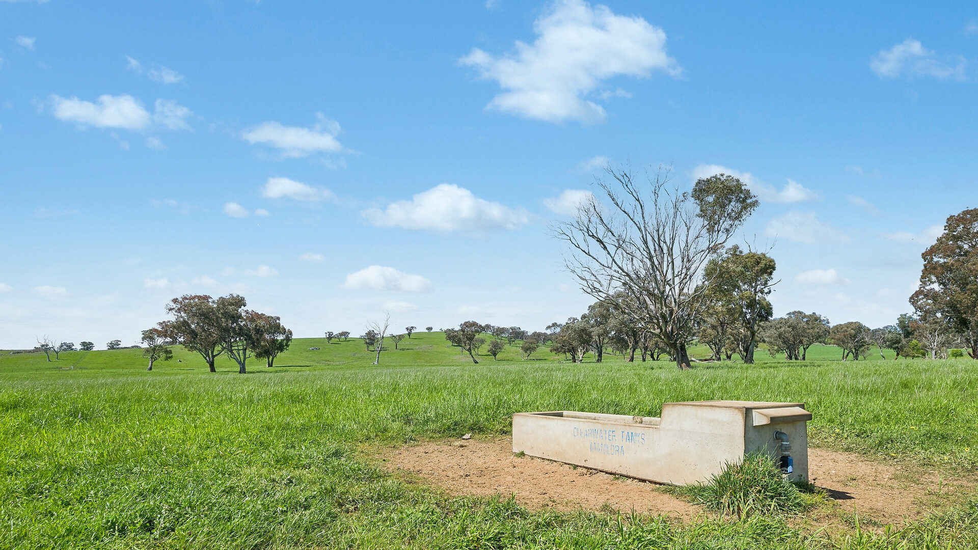 Auction - 593 Belgravia Road - New Property in Belgravia - Real Estate by Scott Petersen