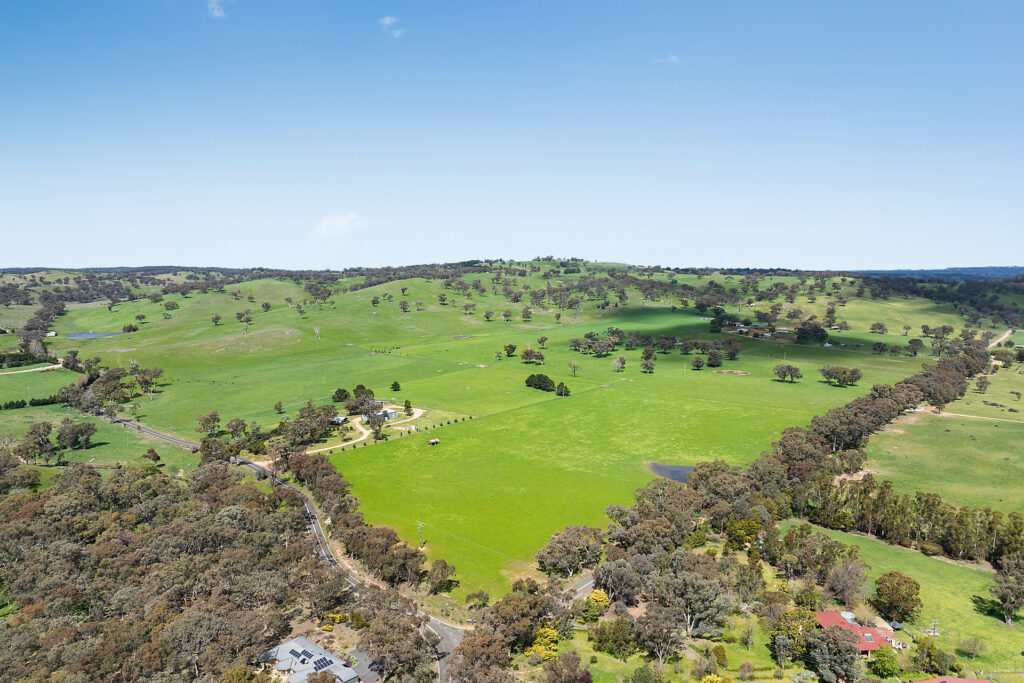 Auction - 593 Belgravia Road - New Property in Belgravia - Real Estate by Scott Petersen