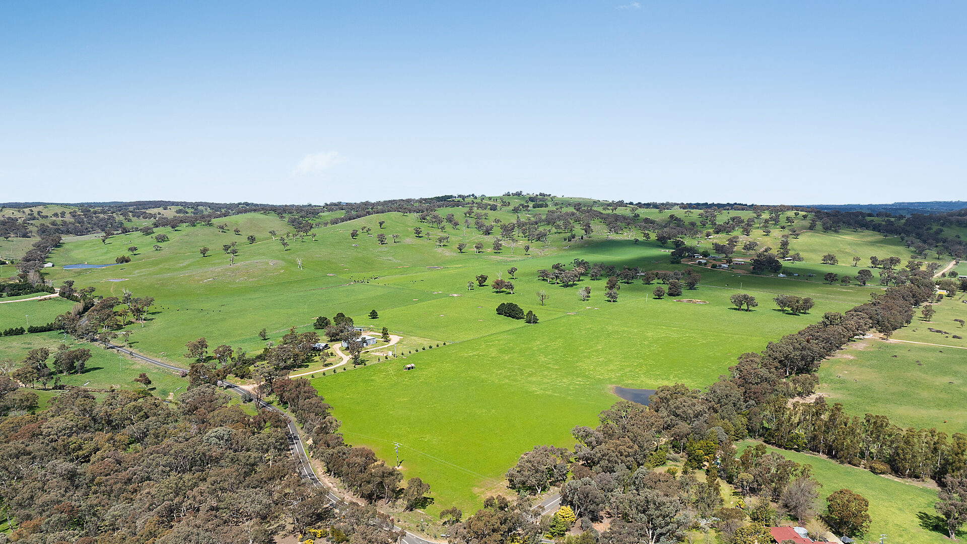 Auction - 593 Belgravia Road - New Property in Belgravia - Real Estate by Scott Petersen