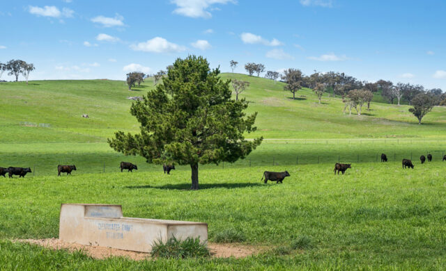 Auction - 593 Belgravia Road - New Property in Belgravia - Real Estate by Scott Petersen