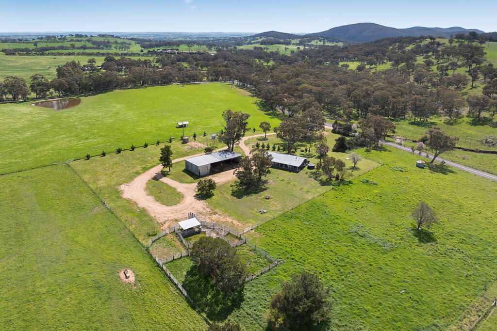 Auction - 593 Belgravia Road - New Property in Belgravia - Real Estate by Scott Petersen
