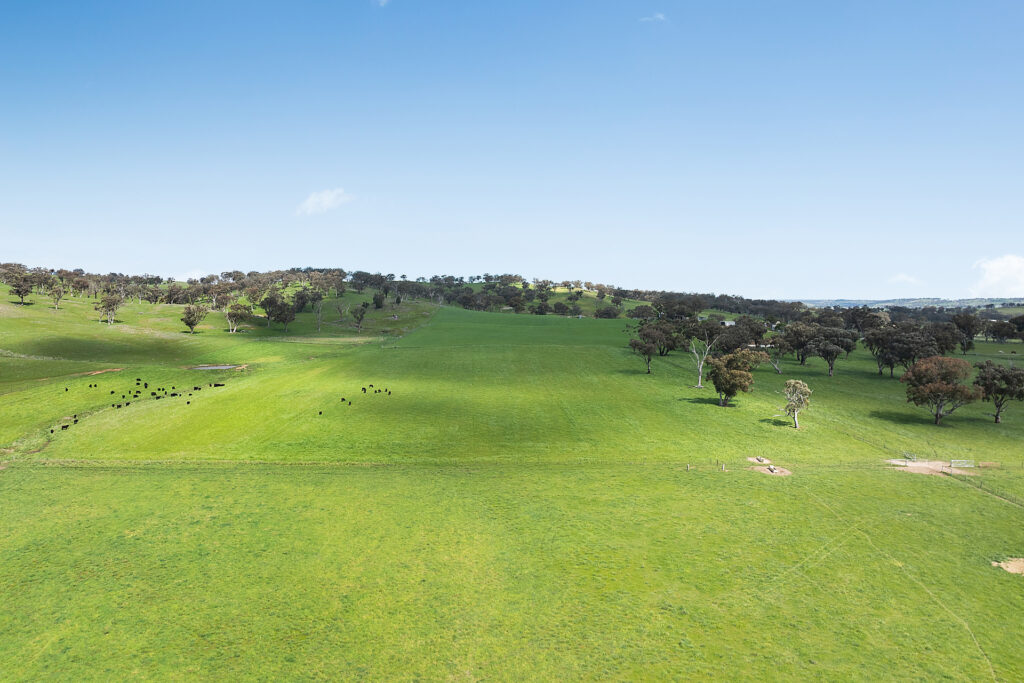 Auction - 593 Belgravia Road - New Property in Belgravia - Real Estate by Scott Petersen