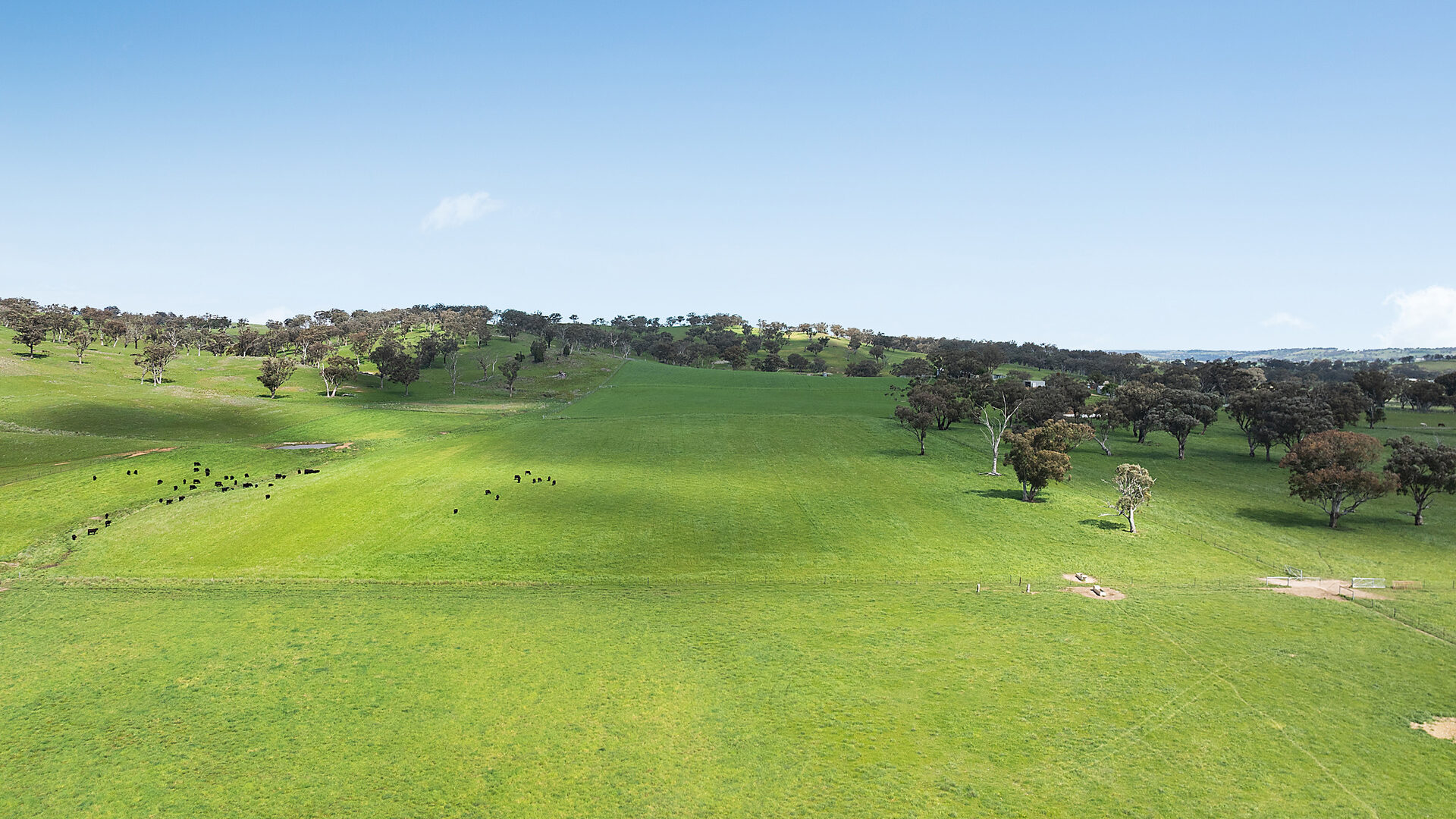 Auction - 593 Belgravia Road - New Property in Belgravia - Real Estate by Scott Petersen