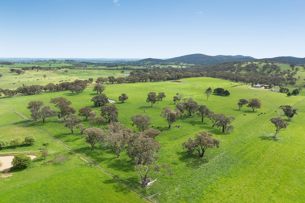 Auction - 593 Belgravia Road - New Property in Belgravia - Real Estate by Scott Petersen