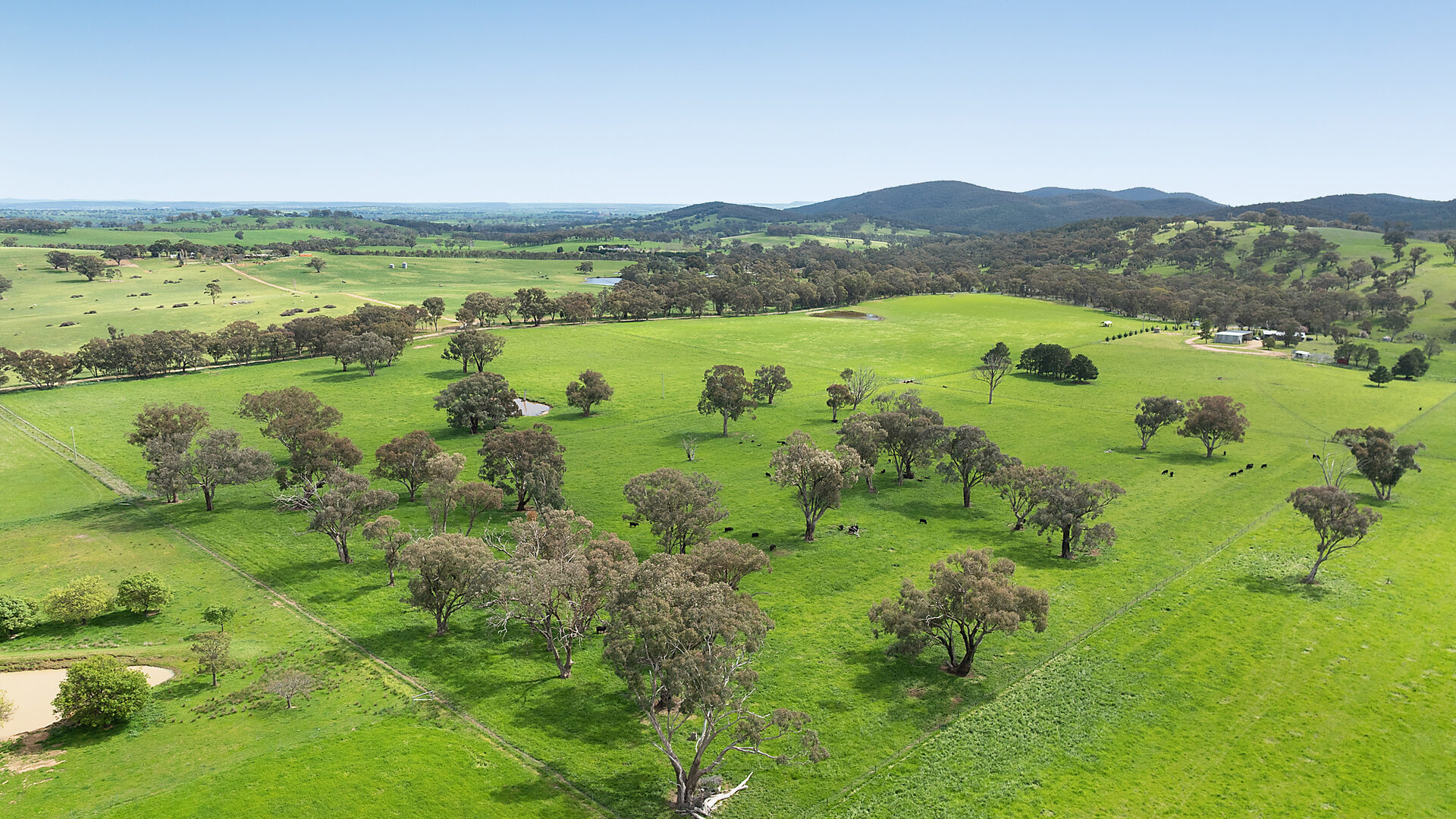 Auction - 593 Belgravia Road - New Property in Belgravia - Real Estate by Scott Petersen
