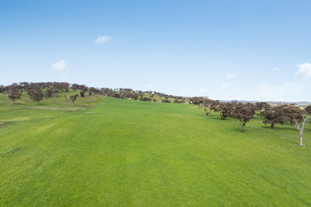 Auction - 593 Belgravia Road - New Property in Belgravia - Real Estate by Scott Petersen