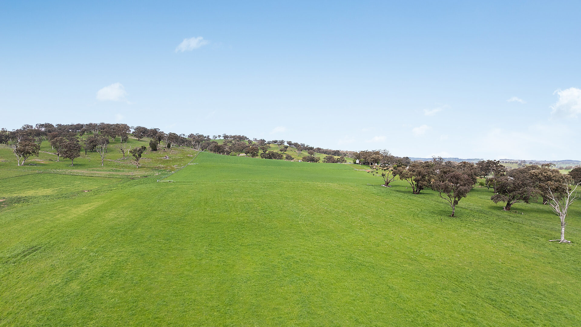 Auction - 593 Belgravia Road - New Property in Belgravia - Real Estate by Scott Petersen