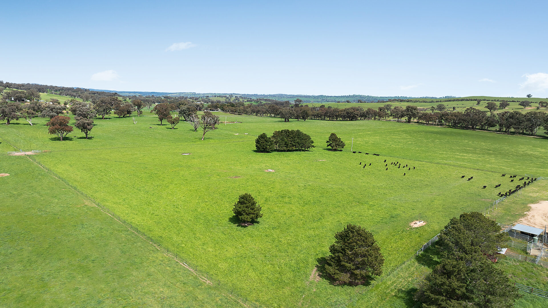 Auction - 593 Belgravia Road - New Property in Belgravia - Real Estate by Scott Petersen