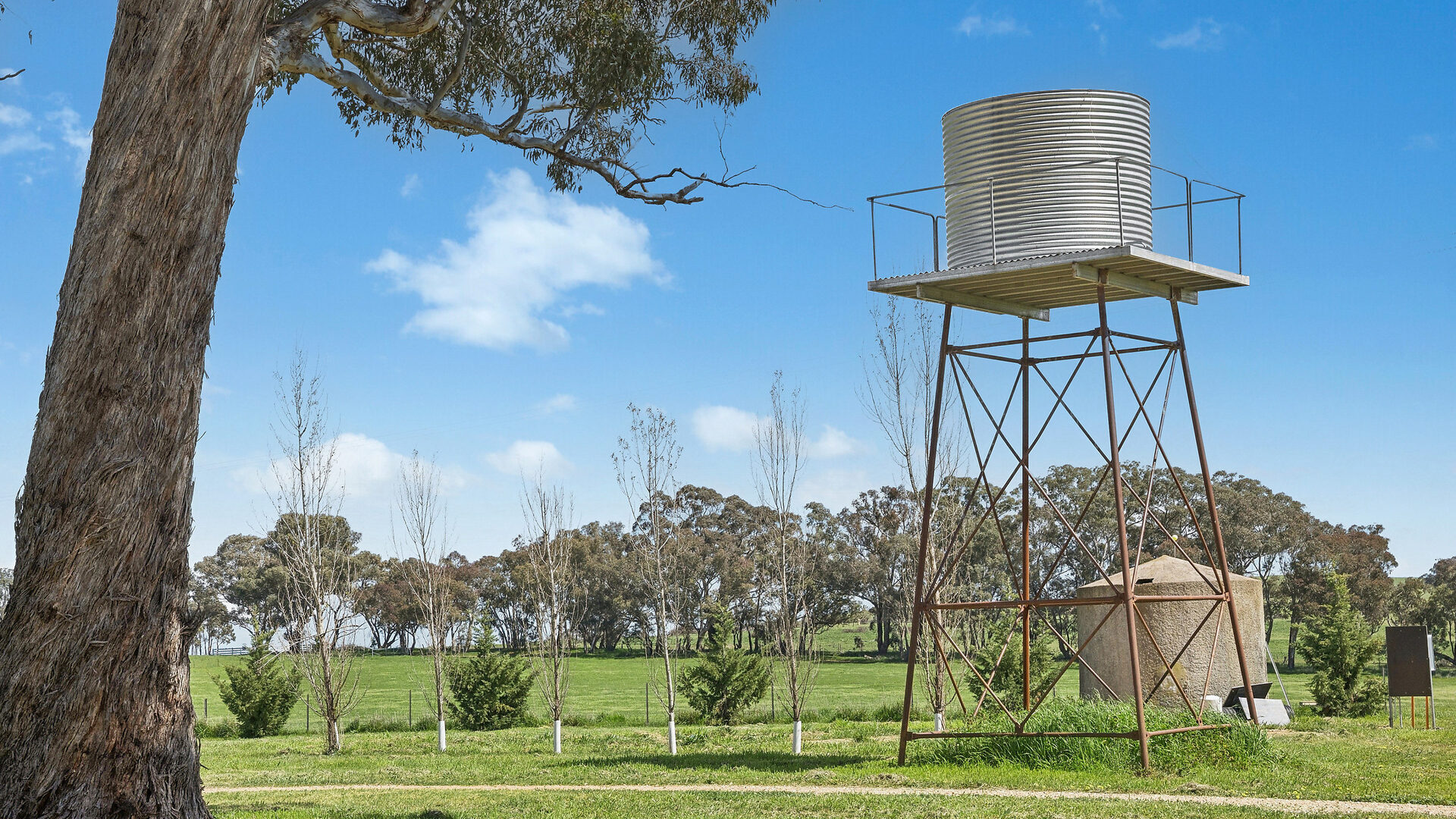 Auction - 593 Belgravia Road - New Property in Belgravia - Real Estate by Scott Petersen
