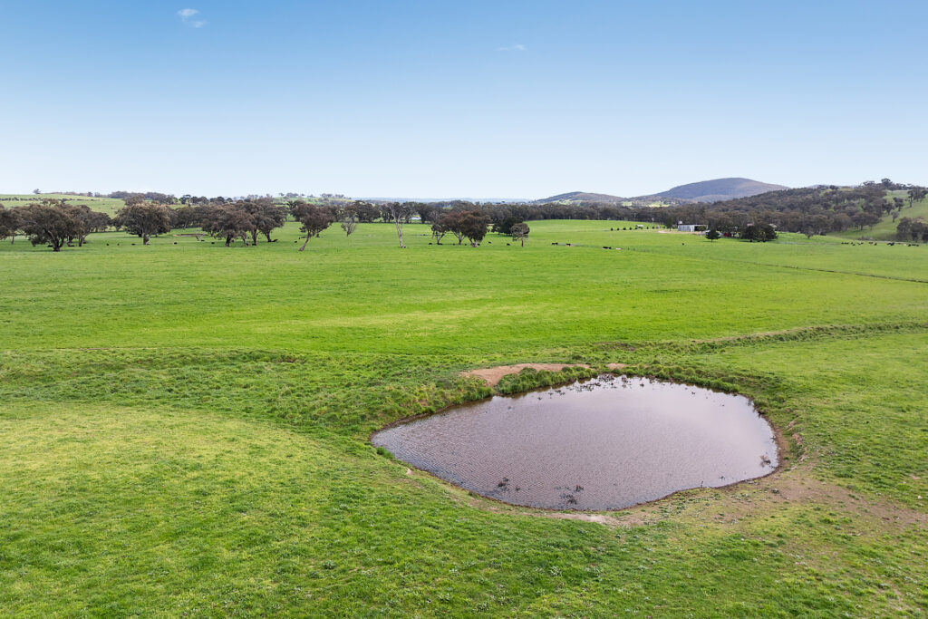 Auction - 593 Belgravia Road - New Property in Belgravia - Real Estate by Scott Petersen