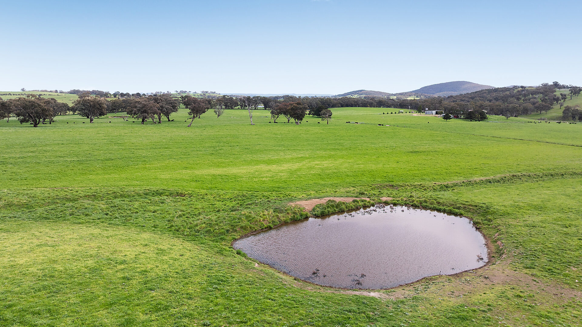 Auction - 593 Belgravia Road - New Property in Belgravia - Real Estate by Scott Petersen