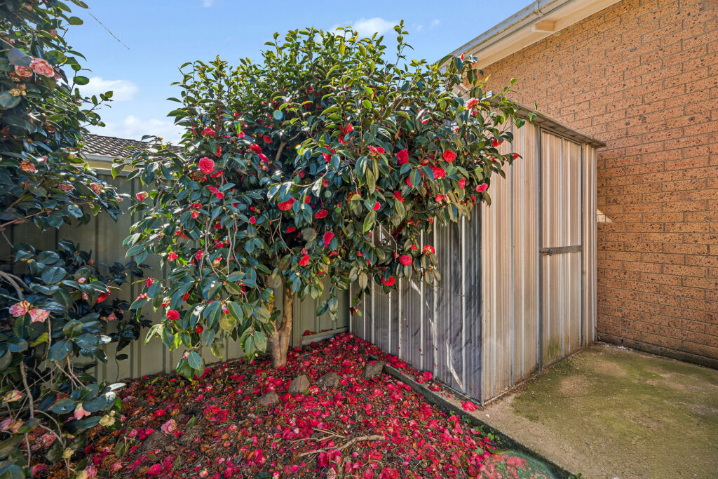 For Sale - 5/5-12 Keithian Place - New Property in Orange - Real Estate by Xanthe Keegan