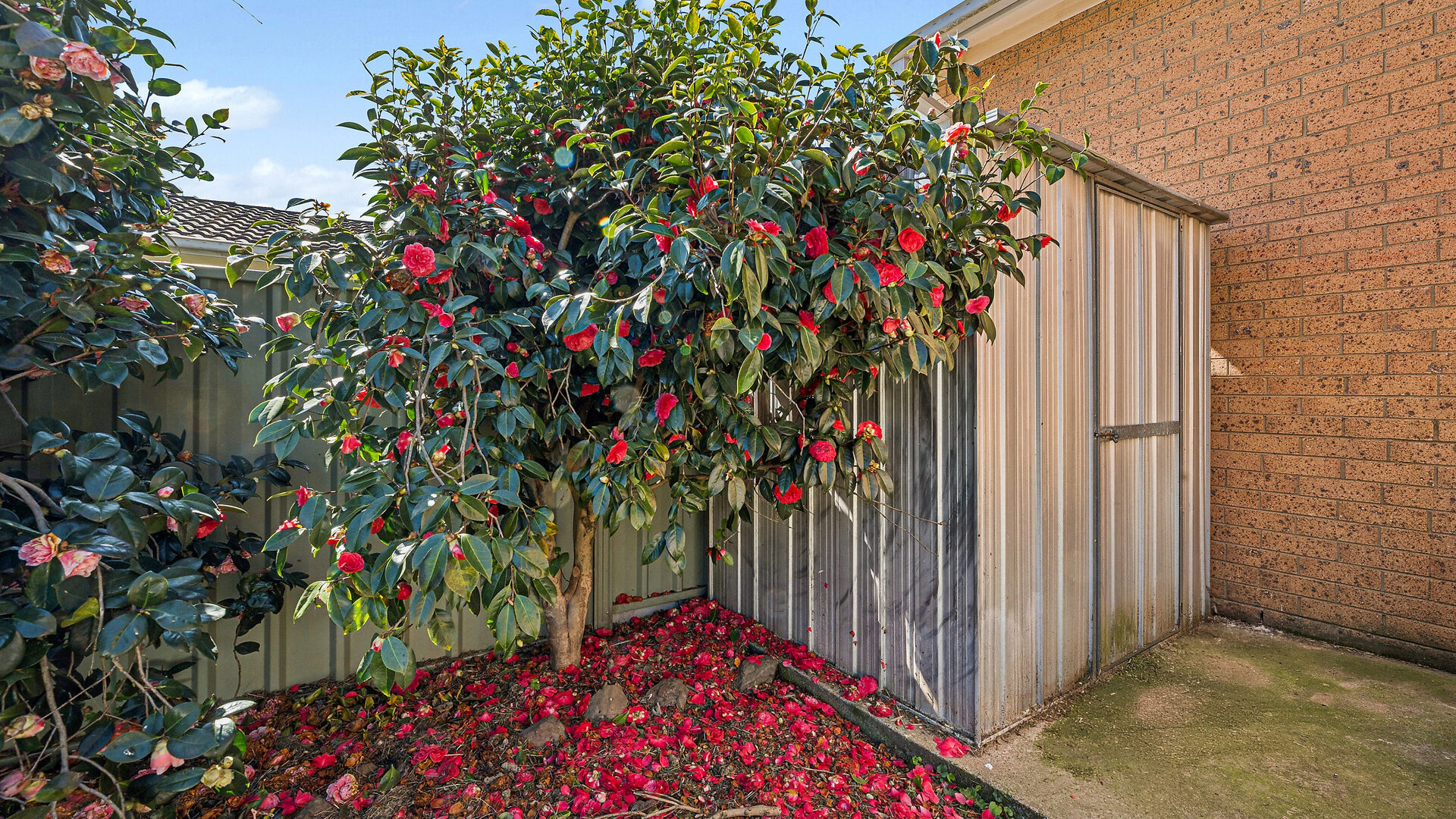 For Sale - 5/5-12 Keithian Place - New Property in Orange - Real Estate by Xanthe Keegan
