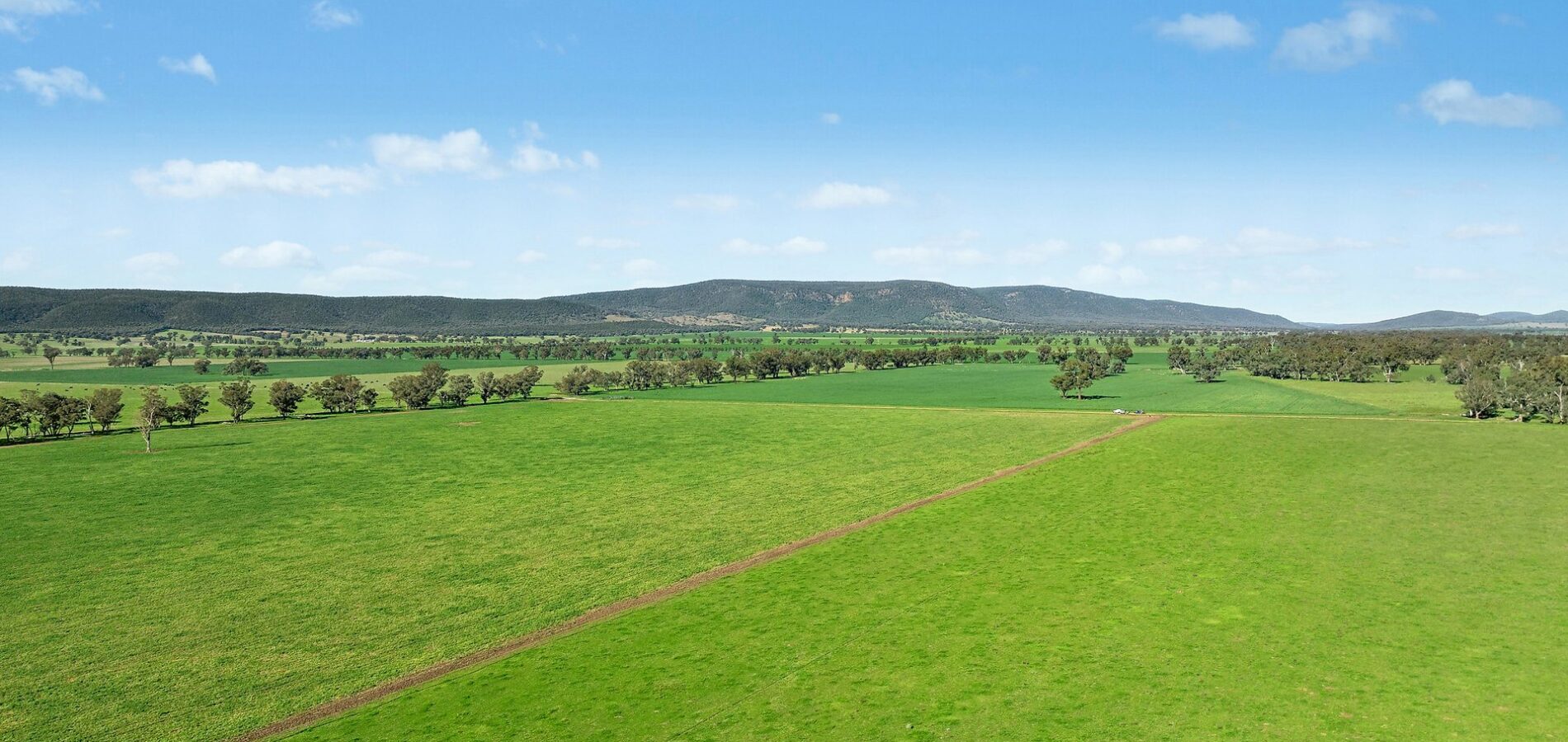 For Sale - 3130 Adelargo Road - New Property in Grenfell - Real Estate by Scott Petersen
