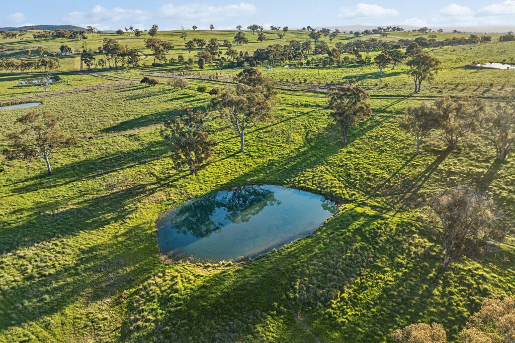 For Sale - 768 Boree Lane - New Property in Orange - Real Estate by Scott Petersen