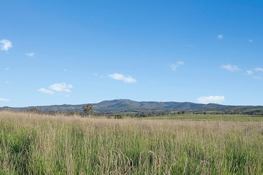 For Sale - 768 Boree Lane - New Property in Orange - Real Estate by Scott Petersen