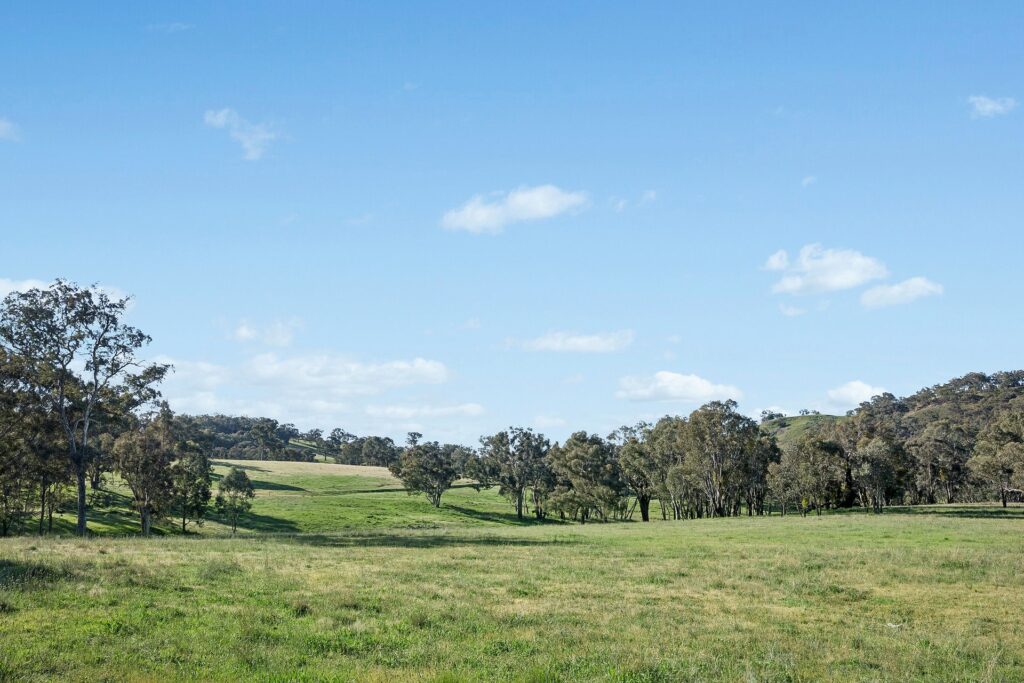 For Sale - 768 Boree Lane - New Property in Orange - Real Estate by Scott Petersen