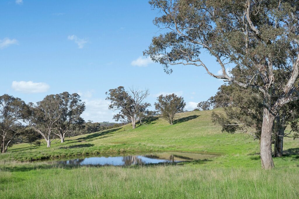 For Sale - 768 Boree Lane - New Property in Orange - Real Estate by Scott Petersen