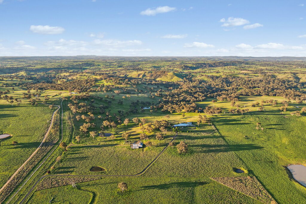 For Sale - 768 Boree Lane - New Property in Orange - Real Estate by Scott Petersen