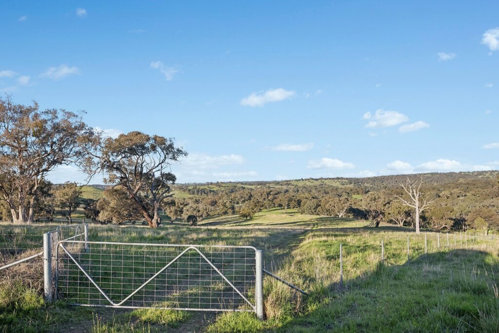 For Sale - 768 Boree Lane - New Property in Orange - Real Estate by Scott Petersen