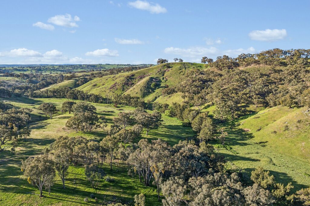 For Sale - 768 Boree Lane - New Property in Orange - Real Estate by Scott Petersen
