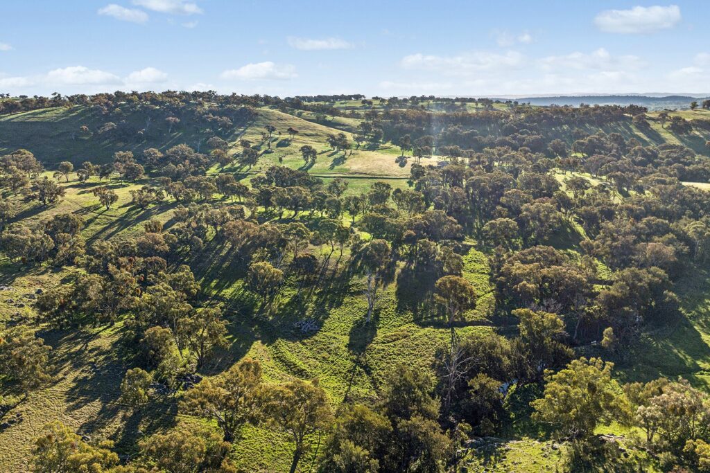 For Sale - 768 Boree Lane - New Property in Orange - Real Estate by Scott Petersen