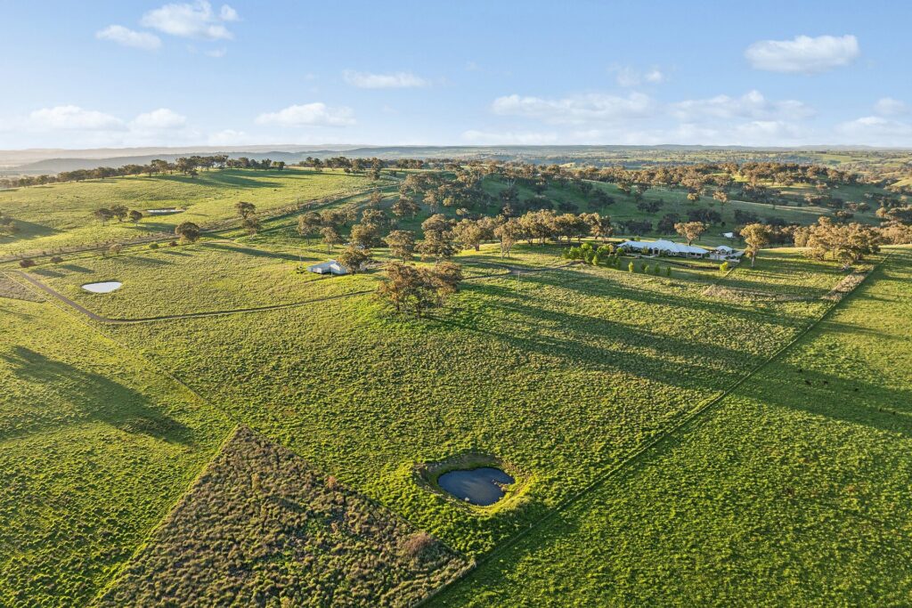 For Sale - 768 Boree Lane - New Property in Orange - Real Estate by Scott Petersen