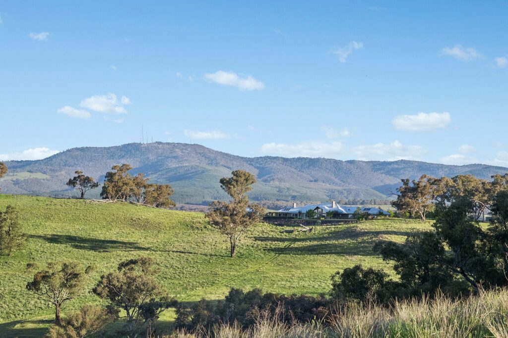 For Sale - 768 Boree Lane - New Property in Orange - Real Estate by Scott Petersen