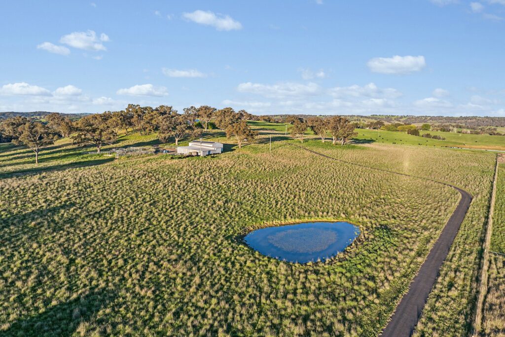For Sale - 768 Boree Lane - New Property in Orange - Real Estate by Scott Petersen
